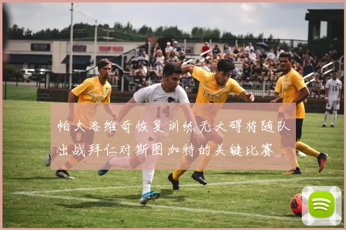 帕夫洛维奇恢复训练无大碍将随队出战拜仁对斯图加特的关键比赛