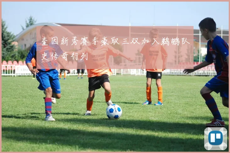 奎因新秀赛季豪取三双加入鹈鹕队史传奇行列