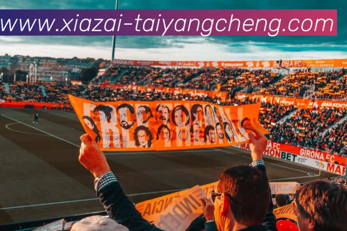 App Interface Preview