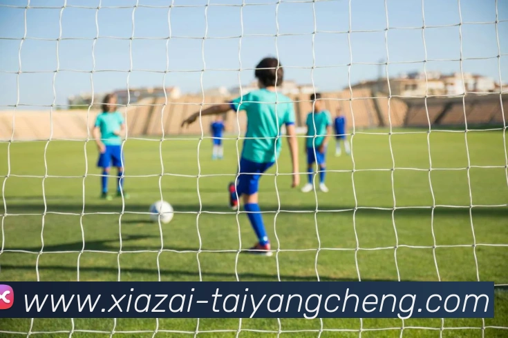 太阳城APP 封面图